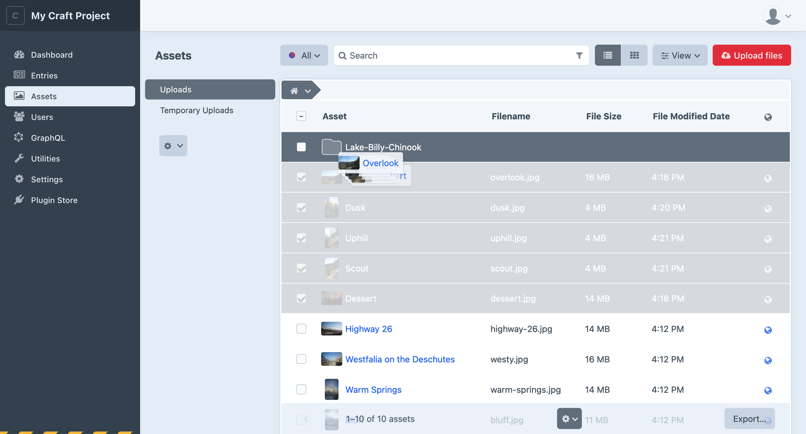 Asset element index showing subfolder creation and drag-and-drop interface for organizing files